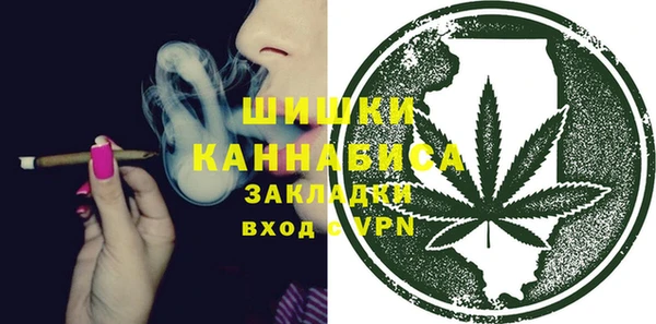 гашик Осинники